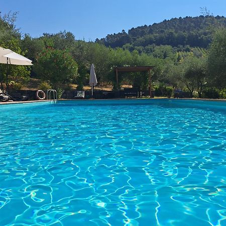 Agriturismo Poggio All'Olmo Βίλα Greve in Chianti Εξωτερικό φωτογραφία