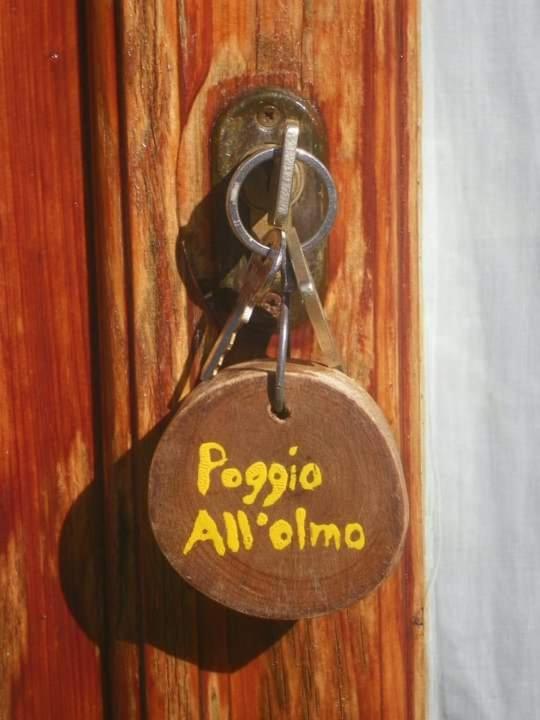 Agriturismo Poggio All'Olmo Βίλα Greve in Chianti Εξωτερικό φωτογραφία