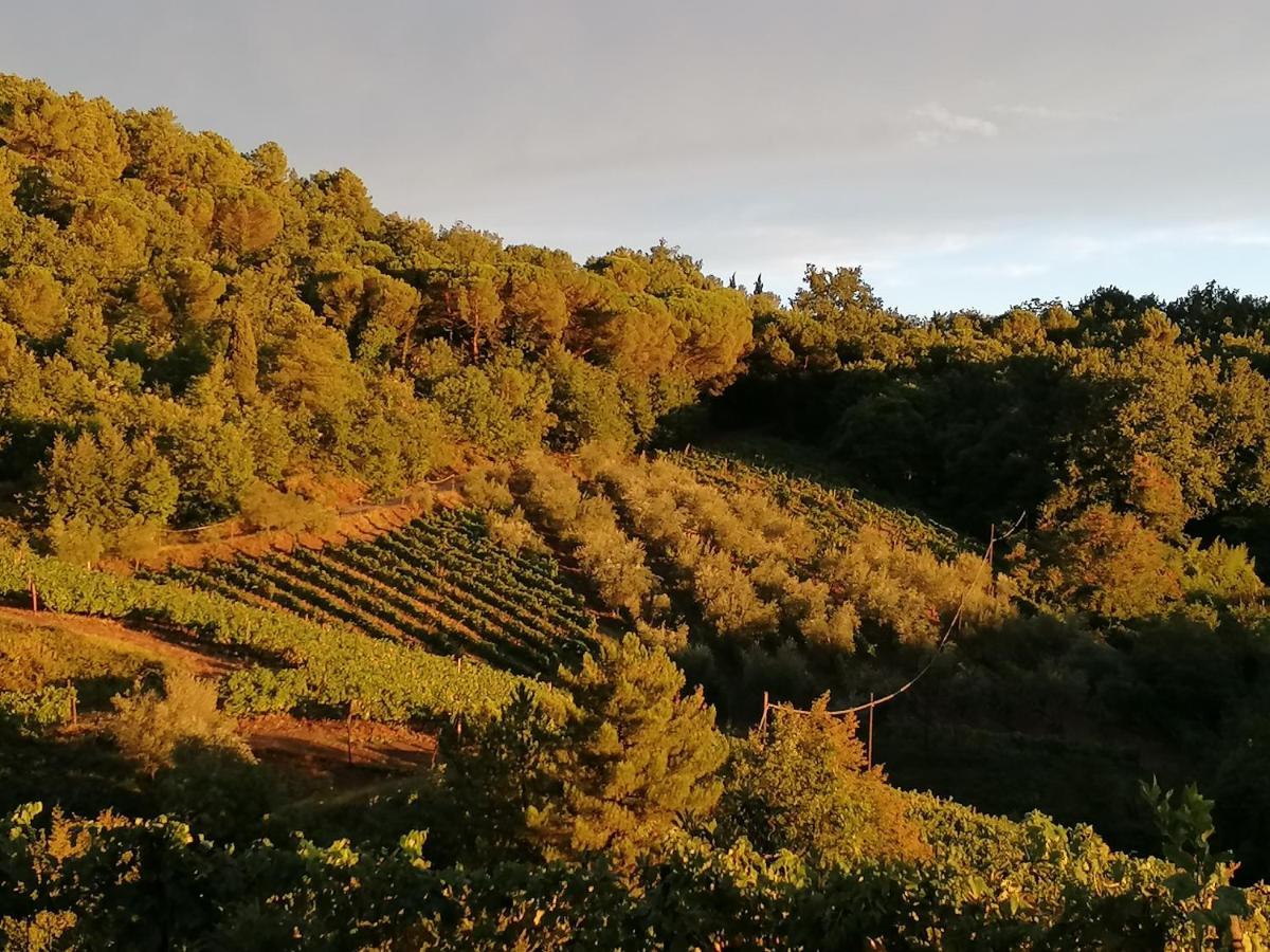 Agriturismo Poggio All'Olmo Βίλα Greve in Chianti Εξωτερικό φωτογραφία