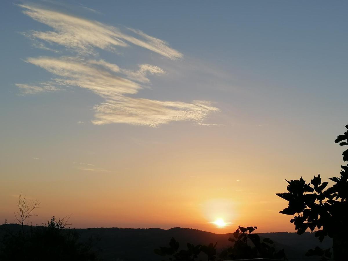 Agriturismo Poggio All'Olmo Βίλα Greve in Chianti Εξωτερικό φωτογραφία