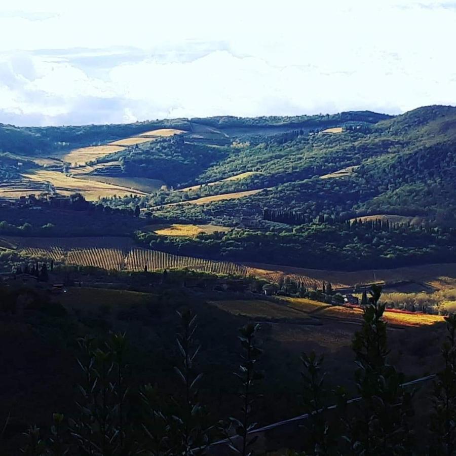 Agriturismo Poggio All'Olmo Βίλα Greve in Chianti Εξωτερικό φωτογραφία