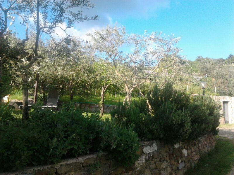 Agriturismo Poggio All'Olmo Βίλα Greve in Chianti Εξωτερικό φωτογραφία