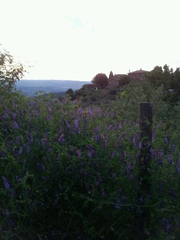 Agriturismo Poggio All'Olmo Βίλα Greve in Chianti Εξωτερικό φωτογραφία