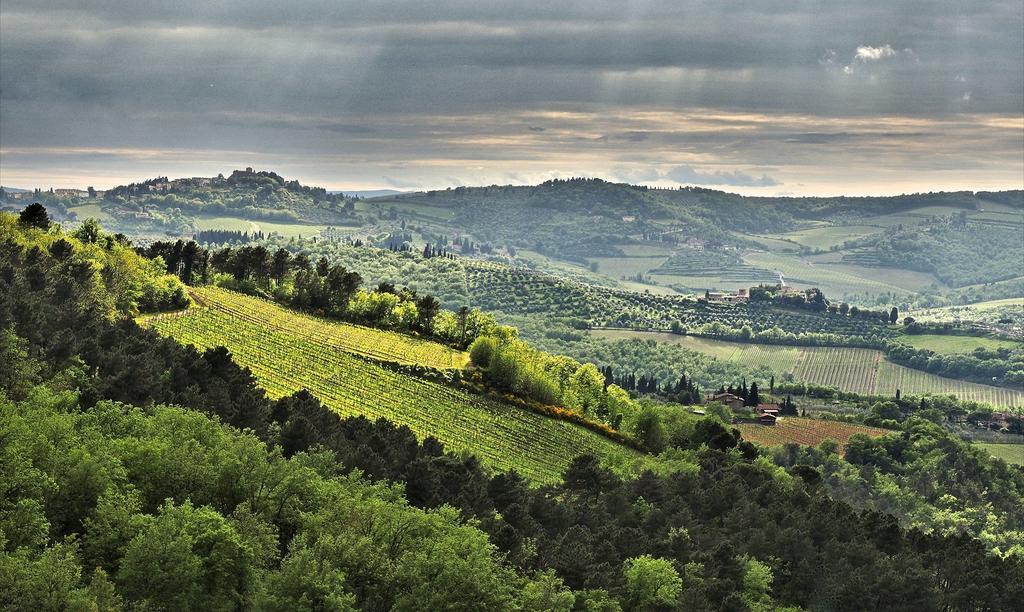 Agriturismo Poggio All'Olmo Βίλα Greve in Chianti Εξωτερικό φωτογραφία