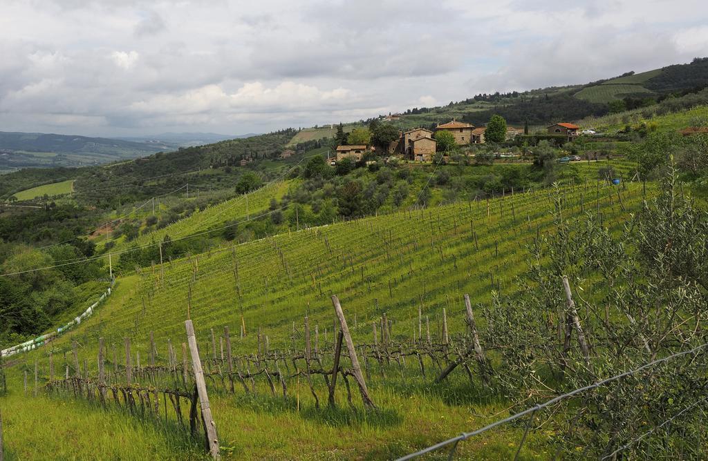 Agriturismo Poggio All'Olmo Βίλα Greve in Chianti Εξωτερικό φωτογραφία