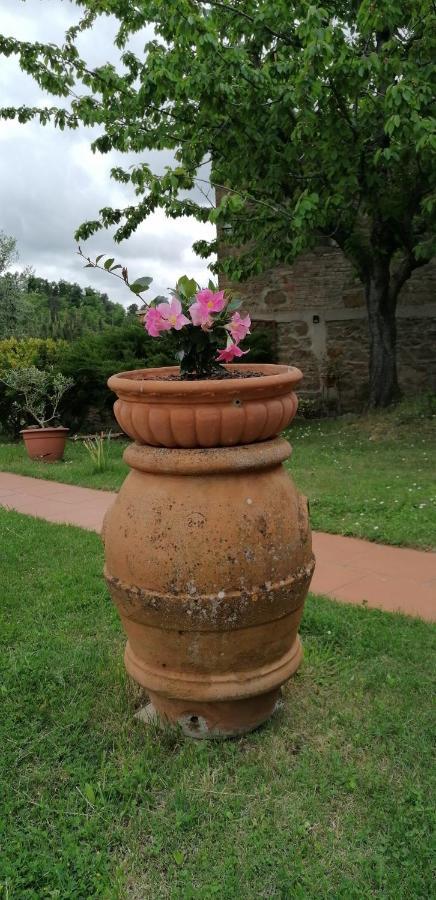 Agriturismo Poggio All'Olmo Βίλα Greve in Chianti Εξωτερικό φωτογραφία