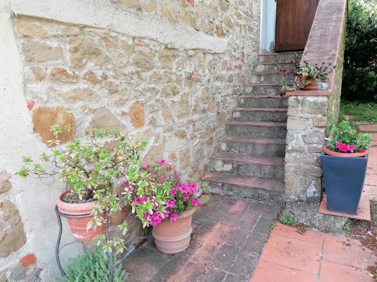 Agriturismo Poggio All'Olmo Βίλα Greve in Chianti Εξωτερικό φωτογραφία